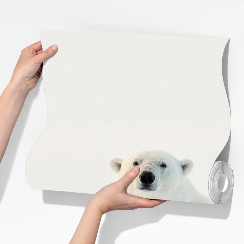 Fototapeta niedźwiedź polarny na lodzie, Svalbard Fototapeta niedźwiedź polarny na lodzie, Svalbard