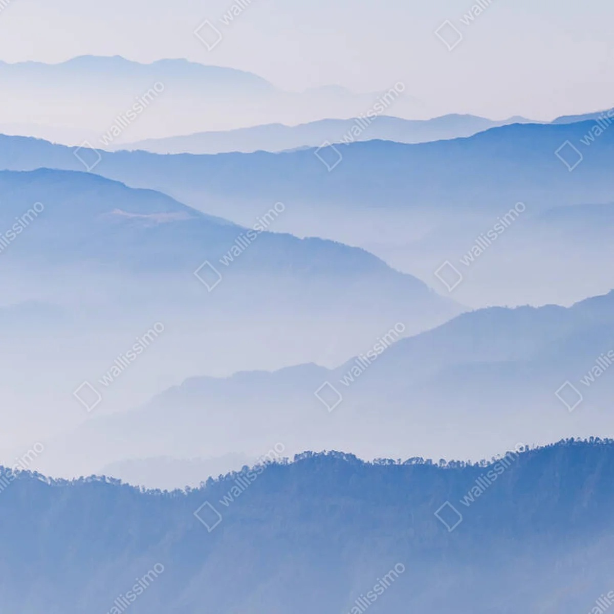 Poster Atemberaubende nebelbedeckte Bergkette am Morgen • Poster bei Wallnifity® Poster Atemberaubende nebelbedeckte Bergkette am Morgen • Poster bei Wallnifity®