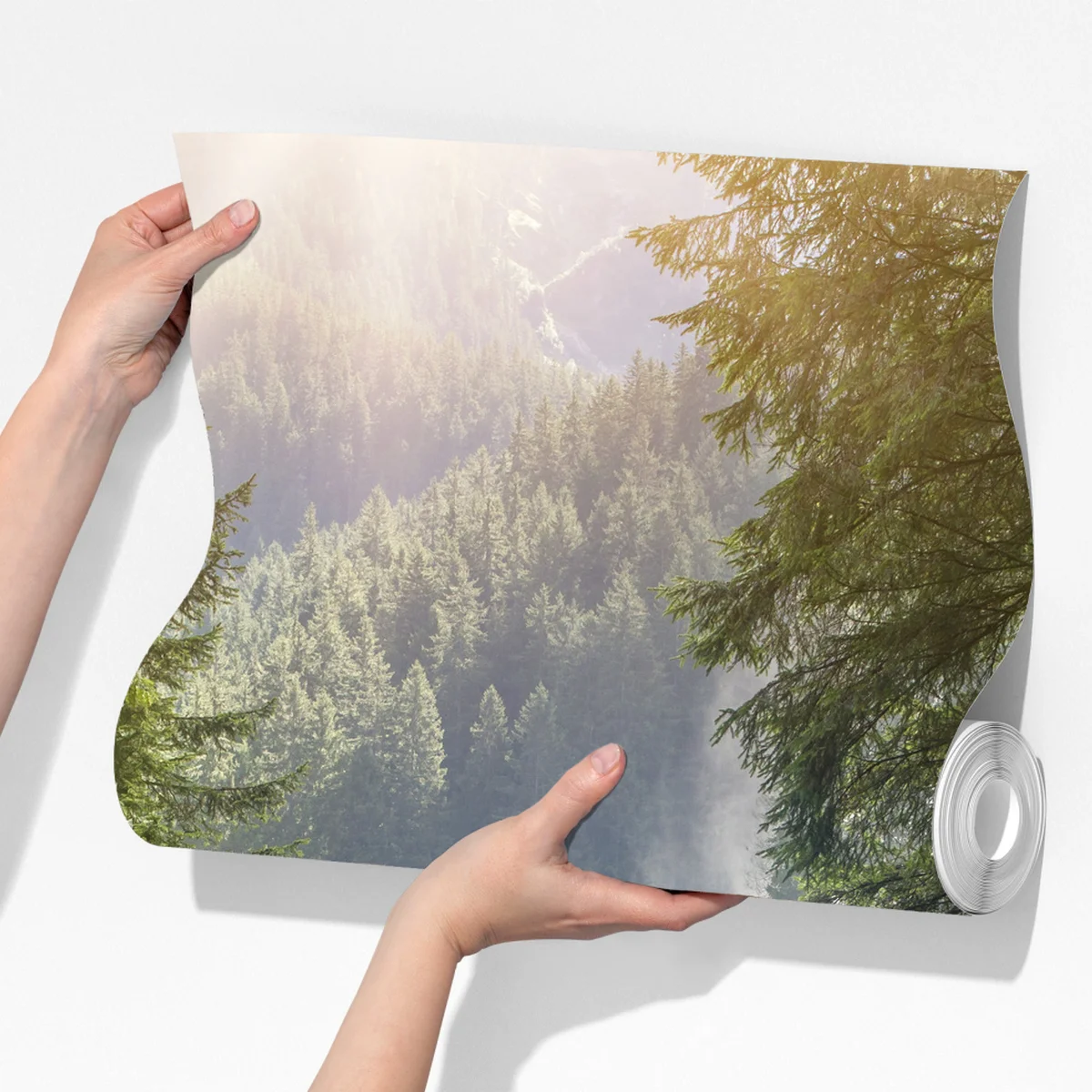 Fototapeta Krimml wodospad w bujnym alpejskim lesie Fototapeta Krimml wodospad w bujnym alpejskim lesie