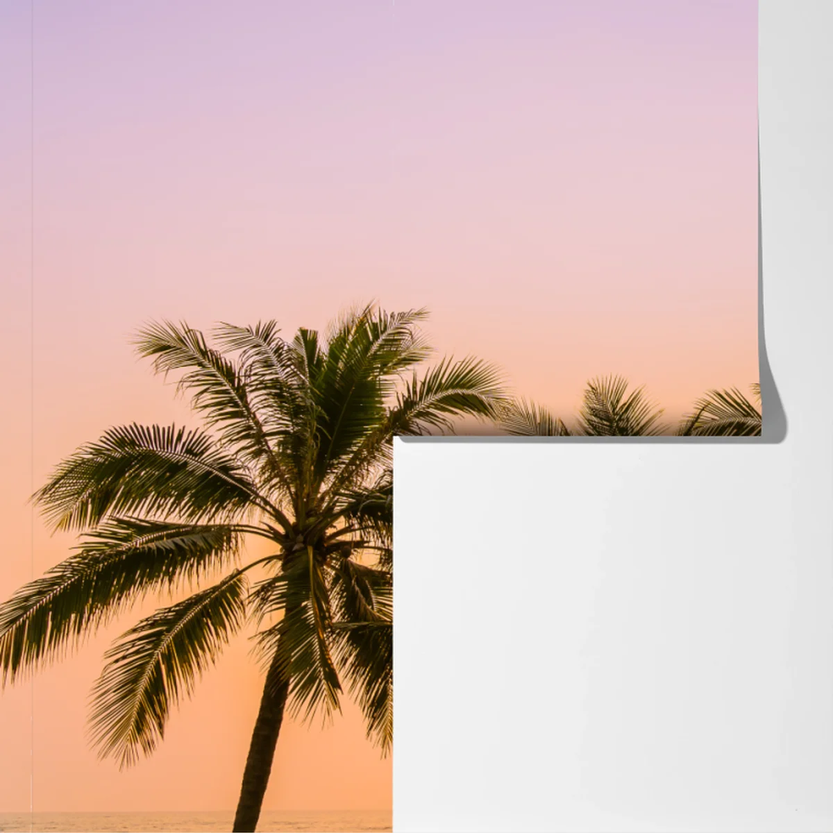 Fototapete tropischer palmsonnenuntergang am strand Fototapete tropischer palmsonnenuntergang am strand