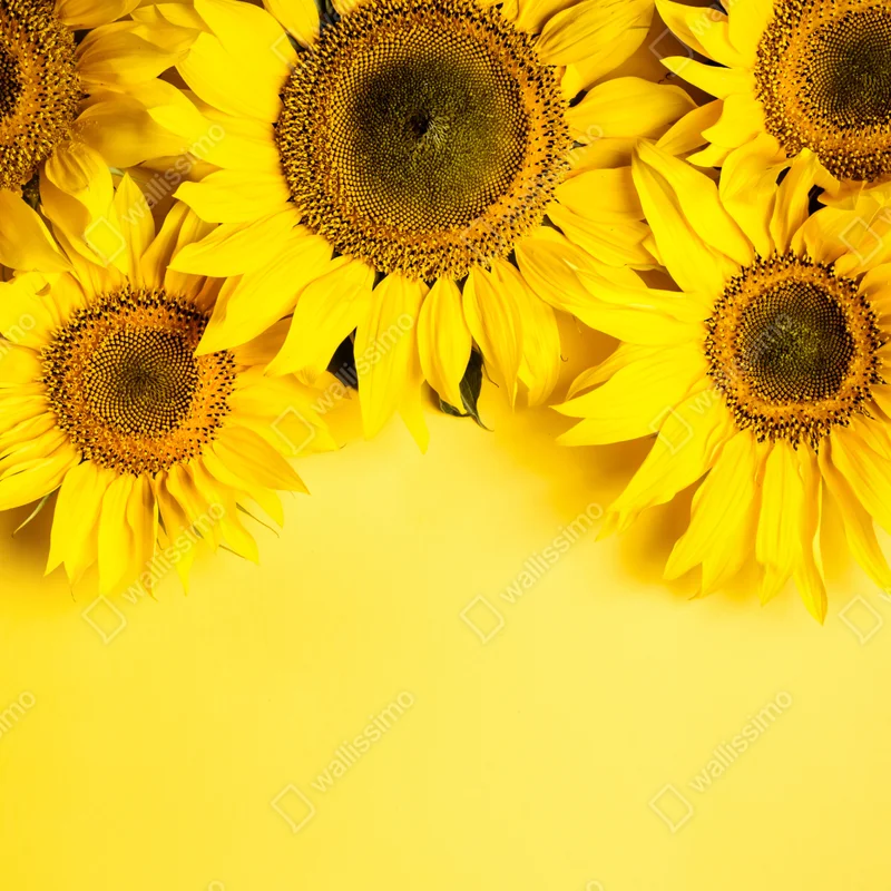 Fensteraufkleber leuchtender sonnenblumenstrauß auf gelbem hintergrund Fensteraufkleber leuchtender sonnenblumenstrauß auf gelbem hintergrund