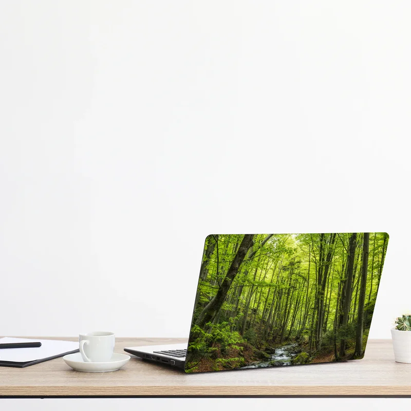 Naklejka na laptopa spokojny leśny strumień Naklejka na laptopa spokojny leśny strumień