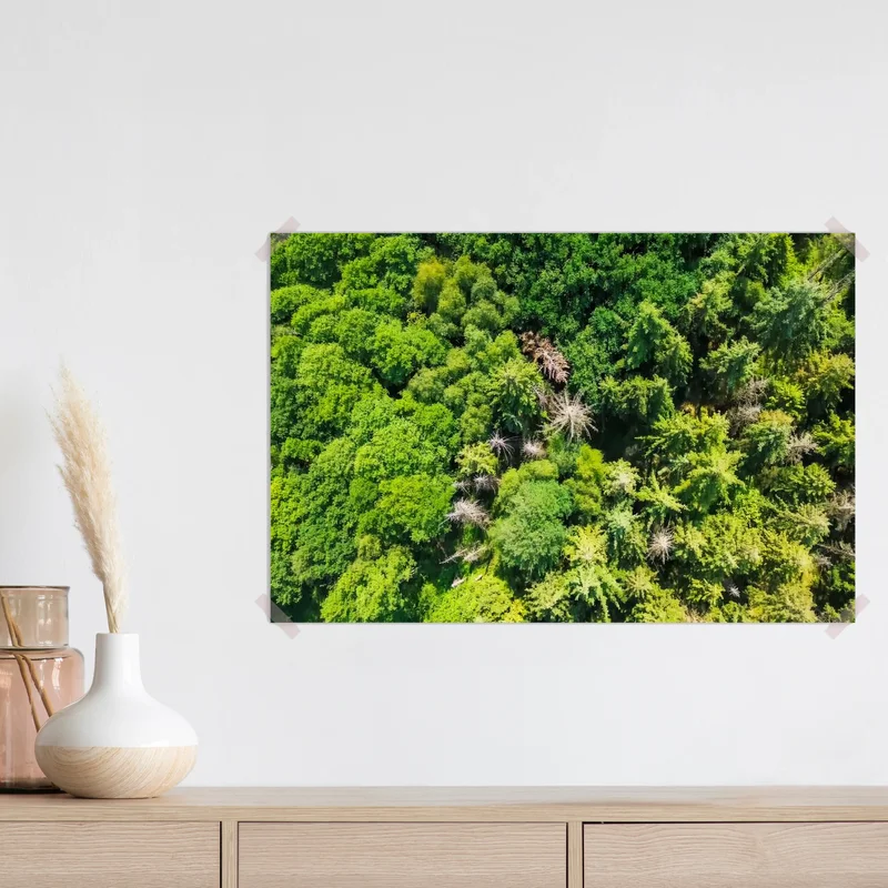 Poster Drohnenblick von oben auf grüne Mischwälder in Norddeutschland • Poster bei Wallnifity® Poster Drohnenblick von oben auf grüne Mischwälder in Norddeutschland • Poster bei Wallnifity®