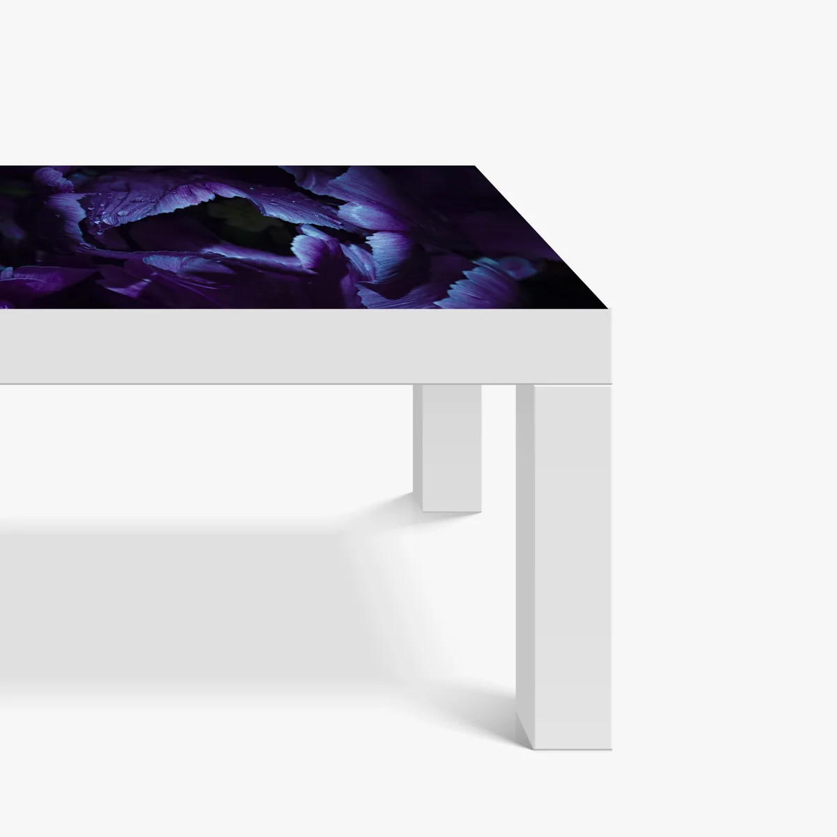 Tischaufkleber und Schreibtischaufkleber lila tulpe im ultravioletten licht Tischaufkleber und Schreibtischaufkleber lila tulpe im ultravioletten licht