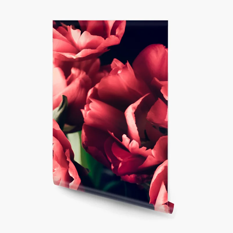 Fototapete stimmungsvolles rosa tulpenbukett Fototapete stimmungsvolles rosa tulpenbukett