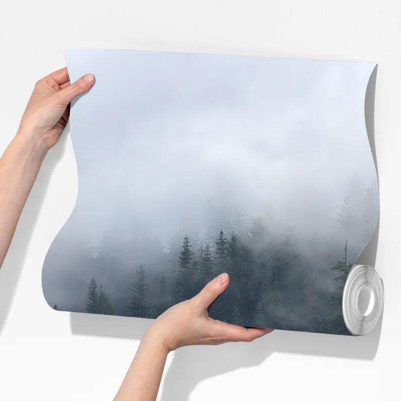 Fototapeta mglisty widok lasu z Larch Mount, Oregon Fototapeta mglisty widok lasu z Larch Mount, Oregon