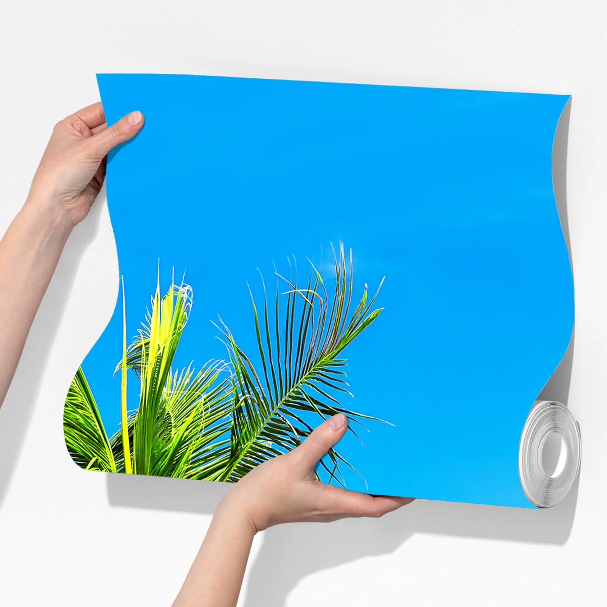 Fototapete tropische palme in Punta Cana Fototapete tropische palme in Punta Cana