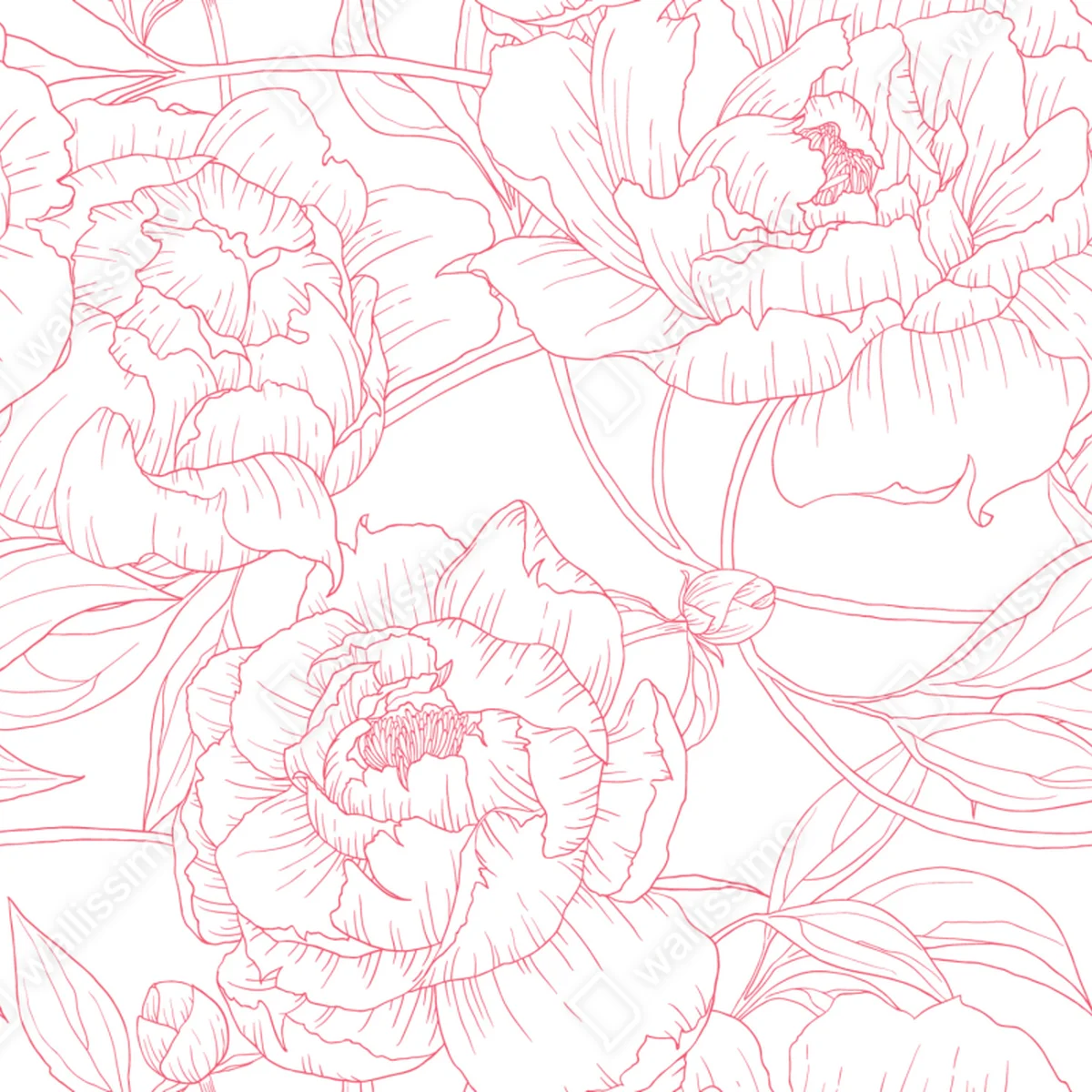 Schrankaufkleber zartes rosa paeonien-line-art-muster Schrankaufkleber zartes rosa paeonien-line-art-muster