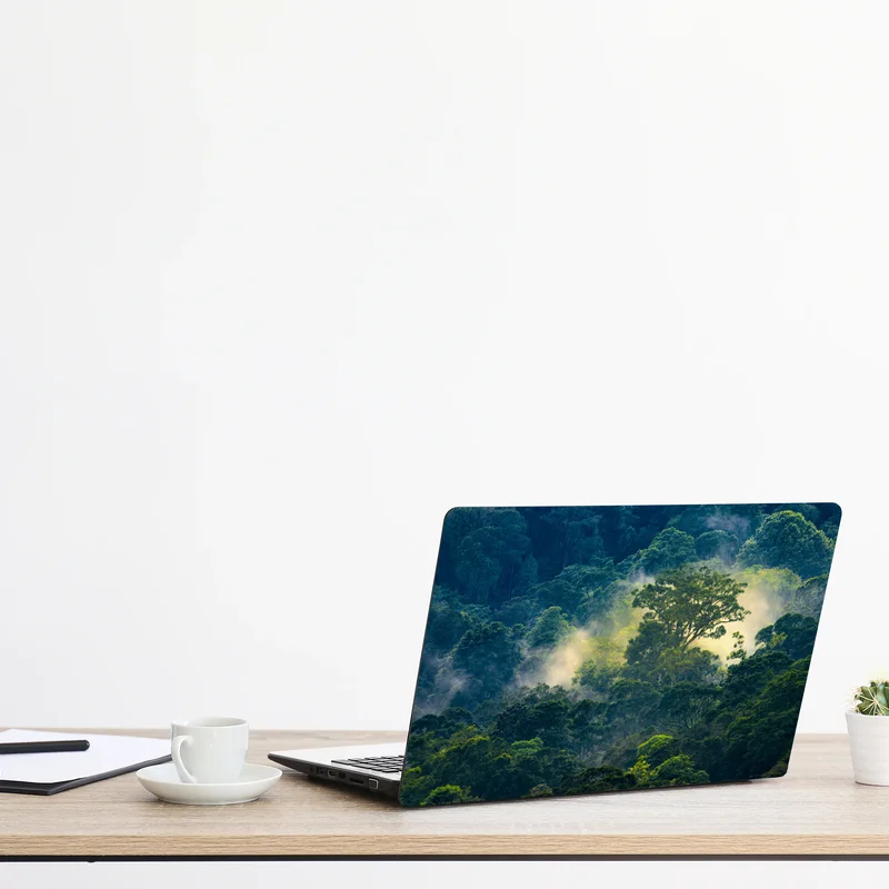 Naklejka na laptopa mglisty las deszczowy z koronami drzew