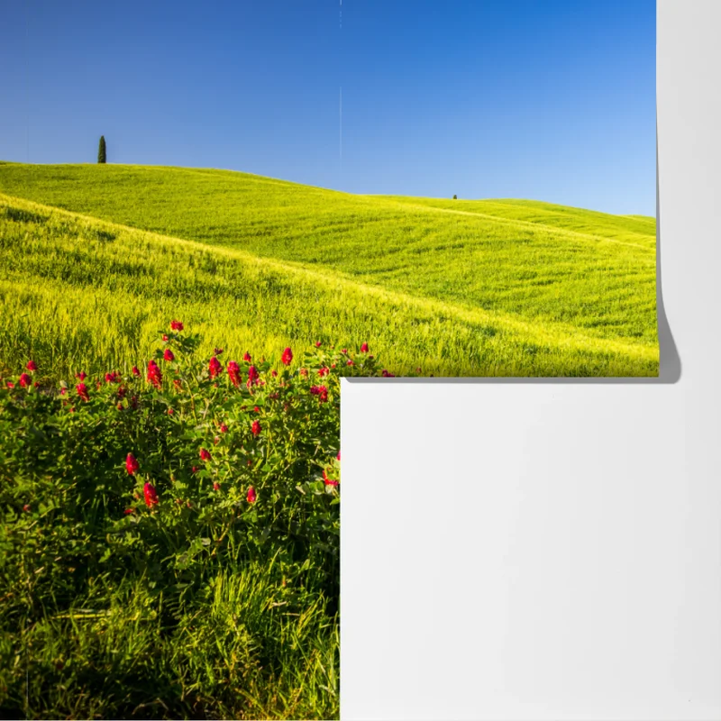 Fototapete sonnige grüne hügel mit zypressen Fototapete sonnige grüne hügel mit zypressen