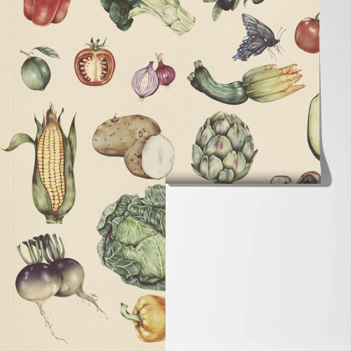 Fototapete handgezeichnetes botanisches gemüsemotiv Fototapete handgezeichnetes botanisches gemüsemotiv