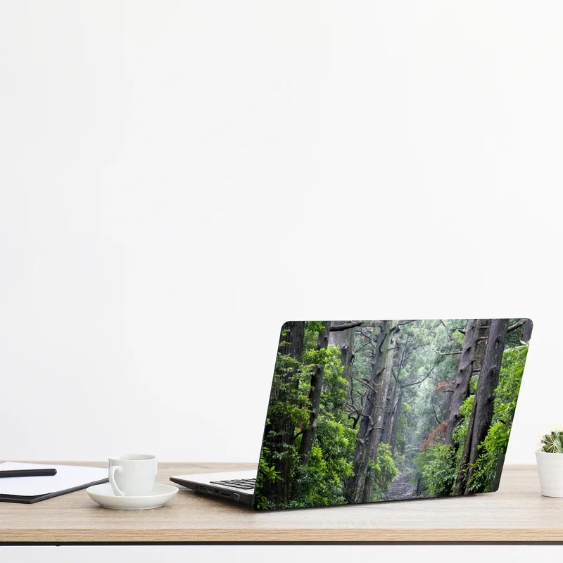 Laptop-Aufkleber mystischer waldweg zwischen alten bäumen