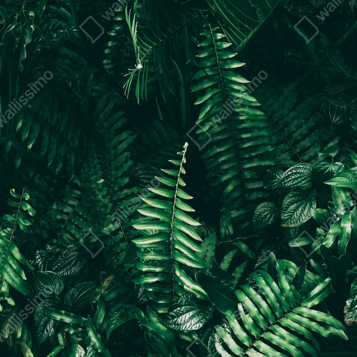 Kühlschrankaufkleber üppige tropische grüne blätter Kühlschrankaufkleber üppige tropische grüne blätter