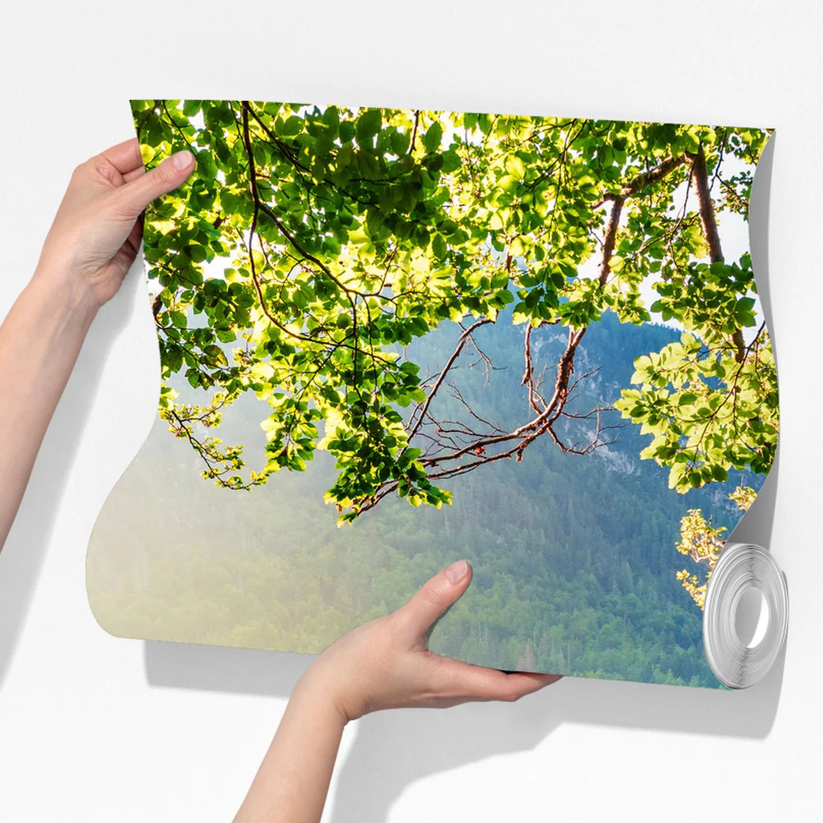 Fototapeta poranek nad jeziorem Fusine z Mangartem Fototapeta poranek nad jeziorem Fusine z Mangartem