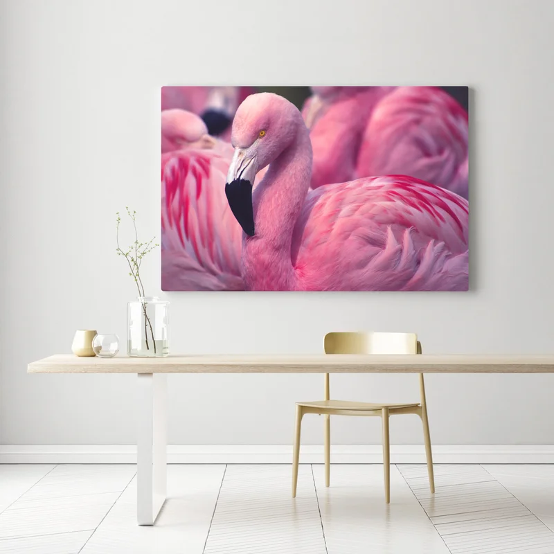 Leinwandbild rosa flamingo-porträt Leinwandbild rosa flamingo-porträt