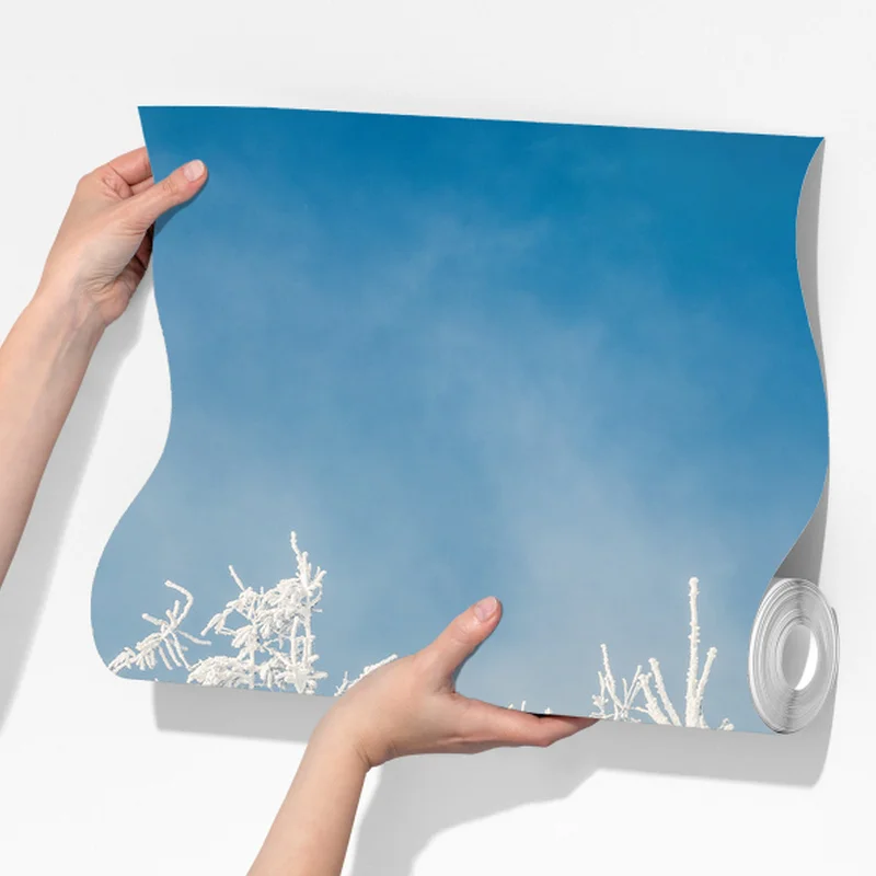 Fototapete panorama verschneiten waldes Fototapete panorama verschneiten waldes