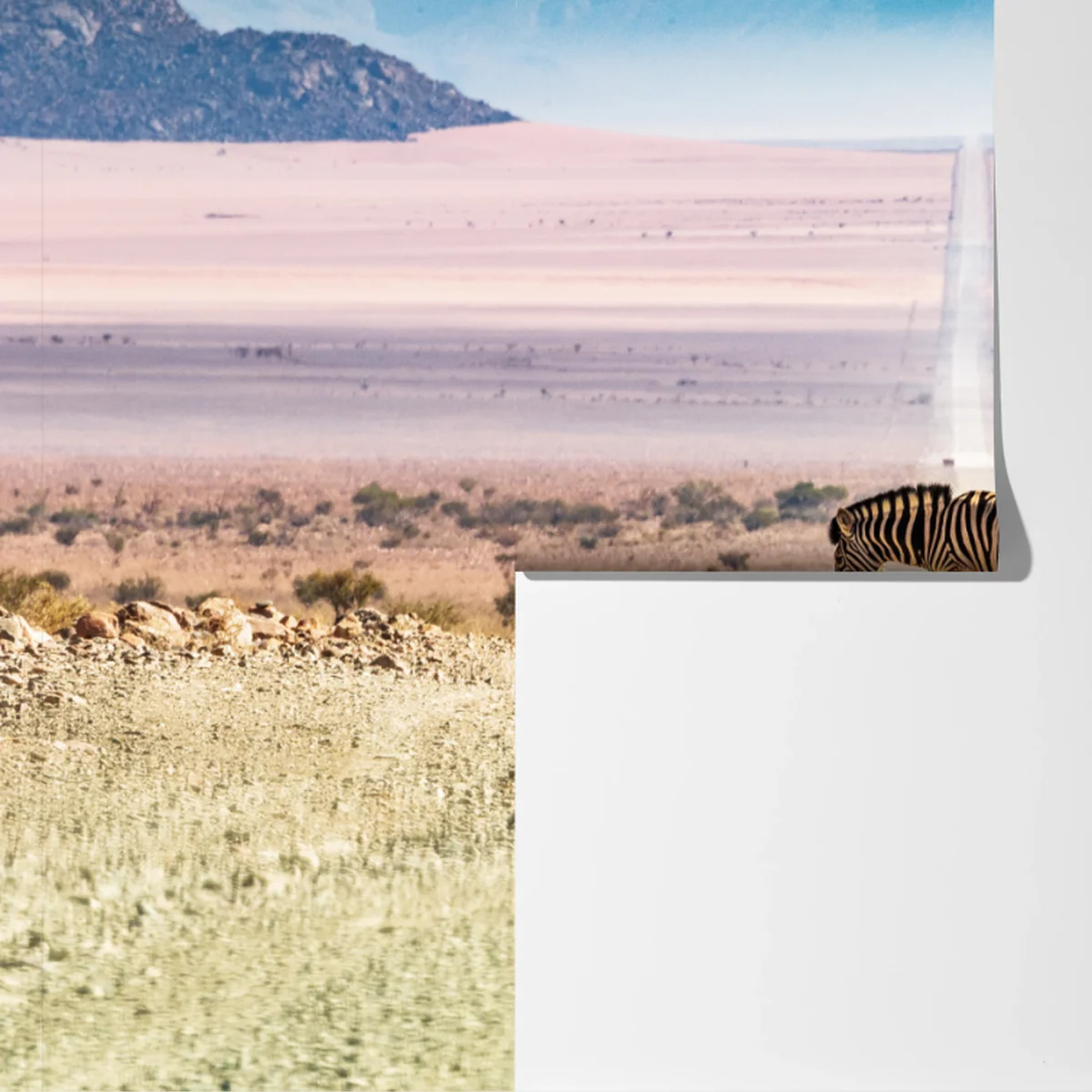 Fototapeta zebra na pustynnej drodze Fototapeta zebra na pustynnej drodze