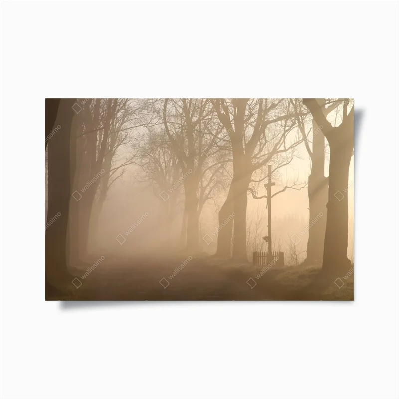 Poster Landstraße bei Sonnenaufgang • Poster bei Wallnifity® Poster Landstraße bei Sonnenaufgang • Poster bei Wallnifity®