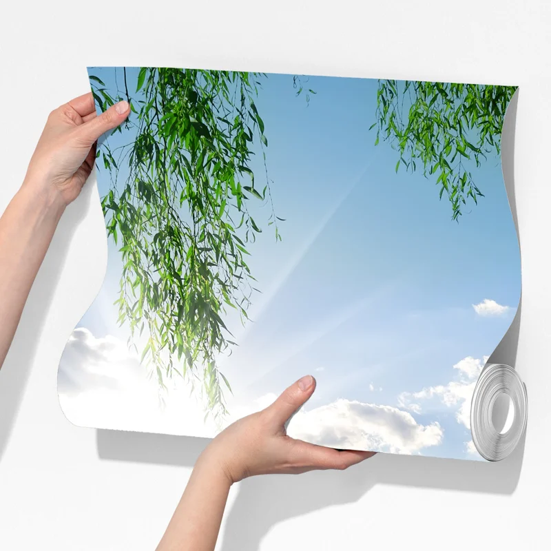 Fototapete sonnenbeschienenes flussufer mit üppigem grün Fototapete sonnenbeschienenes flussufer mit üppigem grün