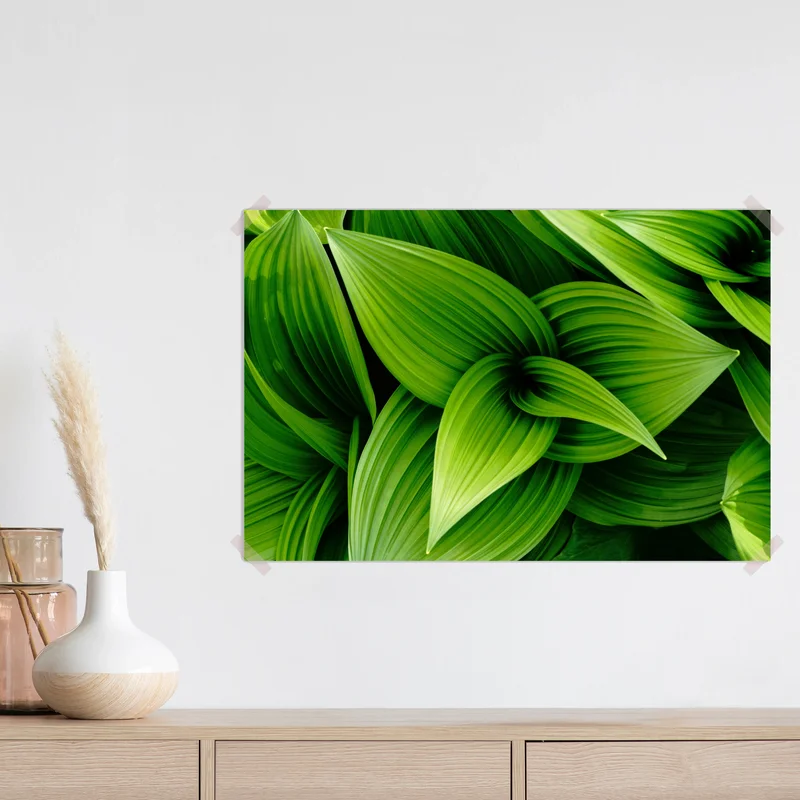 Poster üppige grüne blätter Poster üppige grüne blätter
