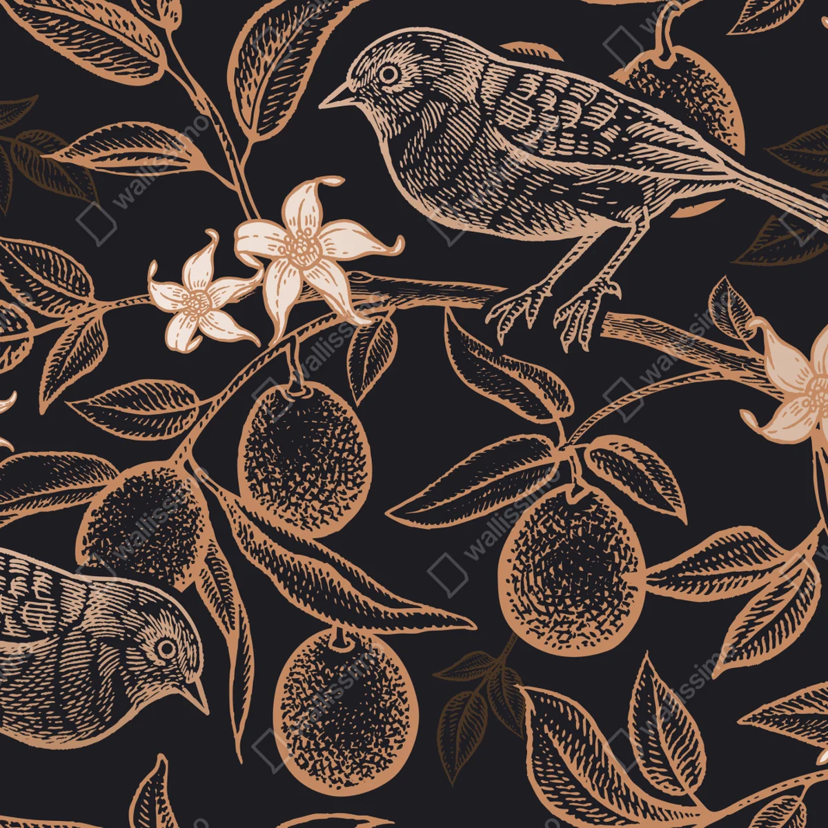 Fototapeta vintage wzór ptaków i cytrusów Fototapeta vintage wzór ptaków i cytrusów