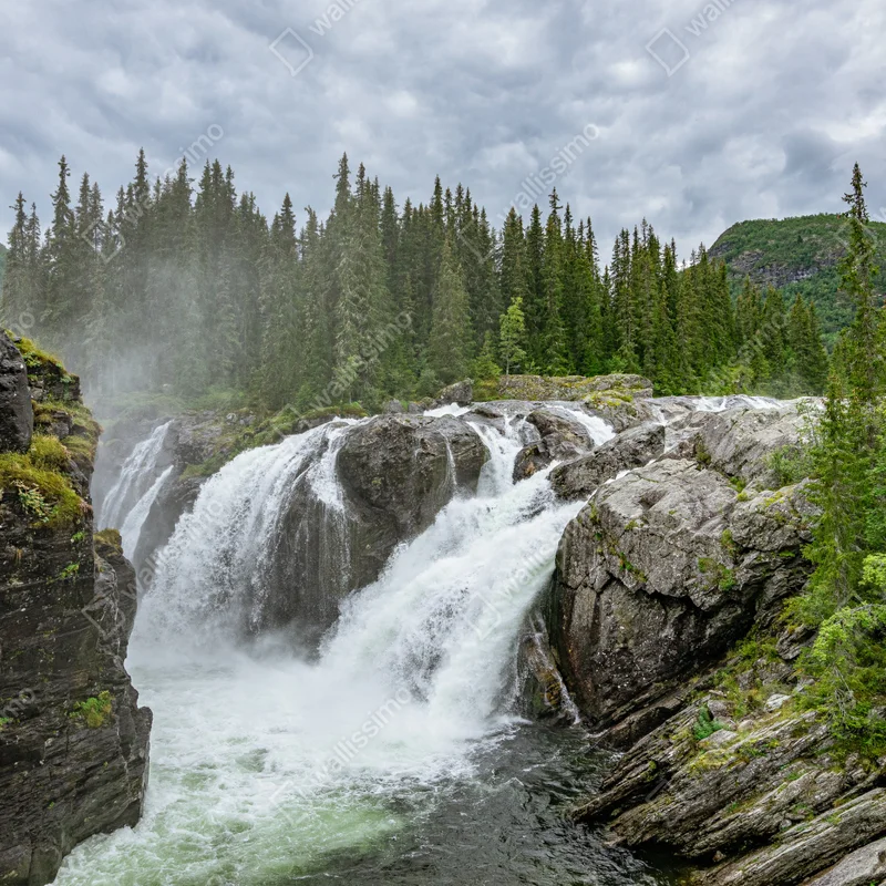 Fensteraufkleber nebliger wasserfall im dichten kiefernwald Fensteraufkleber nebliger wasserfall im dichten kiefernwald