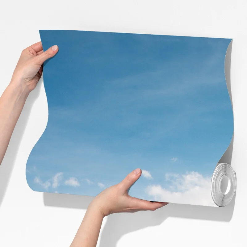 Fototapete alpine frühlingswiese unter schneebedeckten gipfeln Fototapete alpine frühlingswiese unter schneebedeckten gipfeln