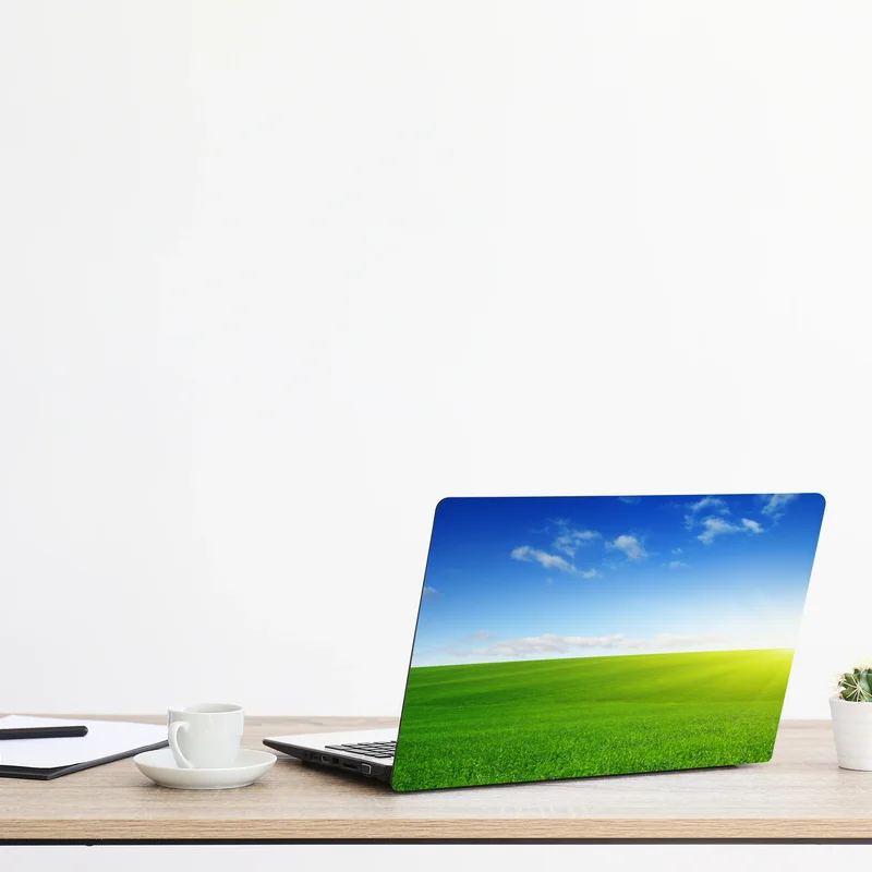Laptop-Aufkleber sonnenbeschienene grüne wiese im morgenlicht