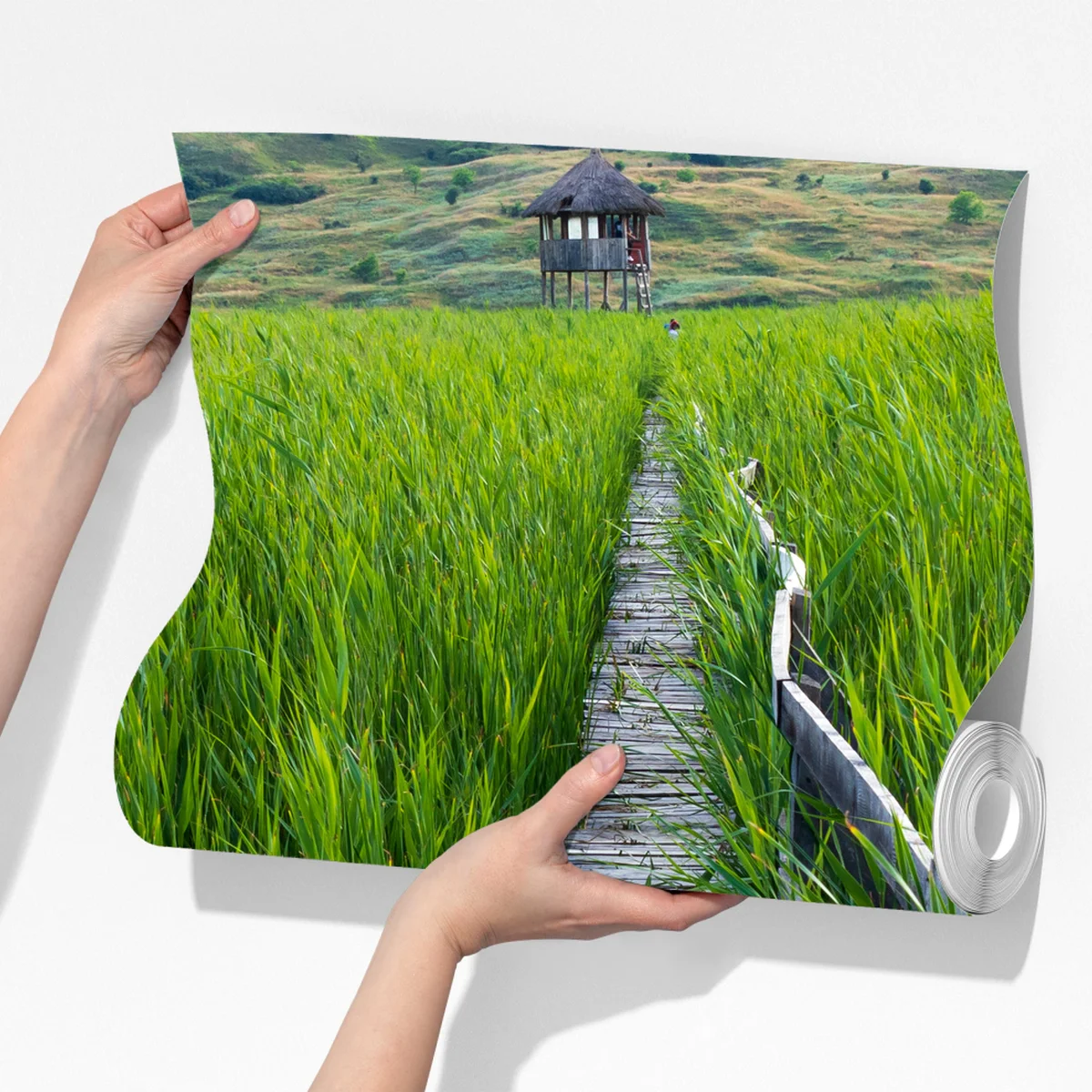 Fototapeta spokojny zielony pomost przez trzcinowisko do rustykalnej chaty Fototapeta spokojny zielony pomost przez trzcinowisko do rustykalnej chaty