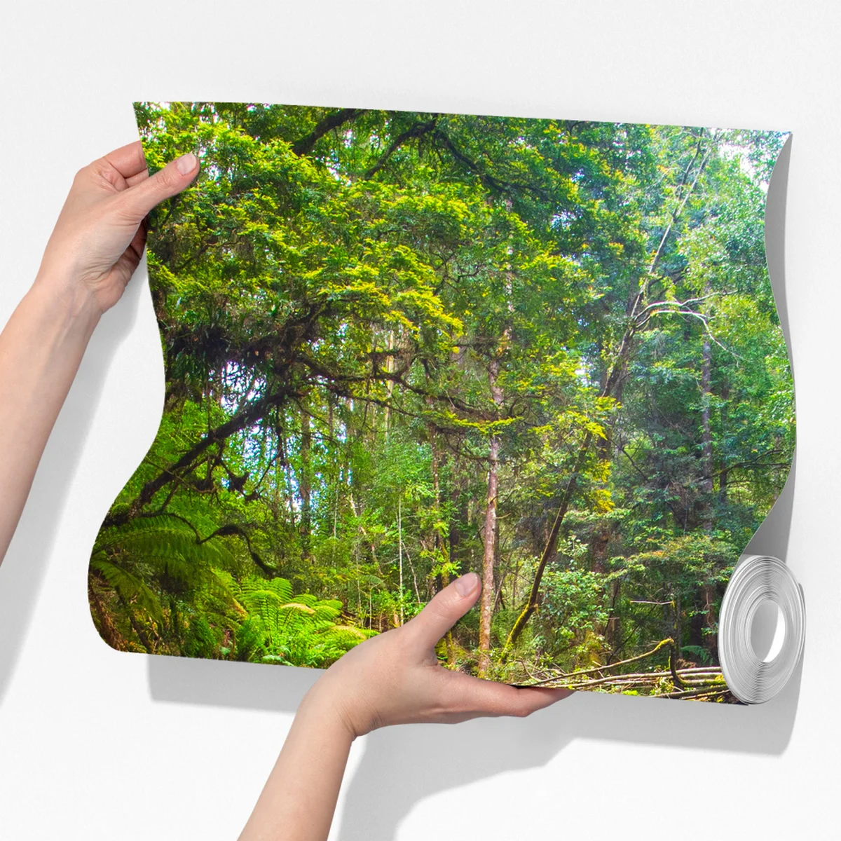 Fototapeta bujny leśny wodospad Fototapeta bujny leśny wodospad