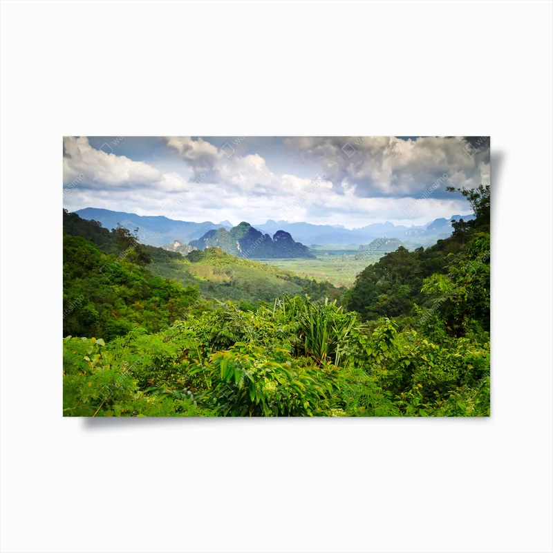 Poster Regenwald im Khao Sok Nationalpark • Poster bei Wallnifity® Poster Regenwald im Khao Sok Nationalpark • Poster bei Wallnifity®