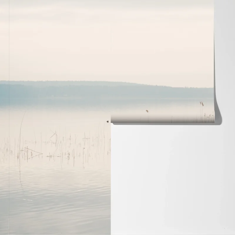 Fototapeta spokojne trzcinowisko nad jeziorem Fototapeta spokojne trzcinowisko nad jeziorem