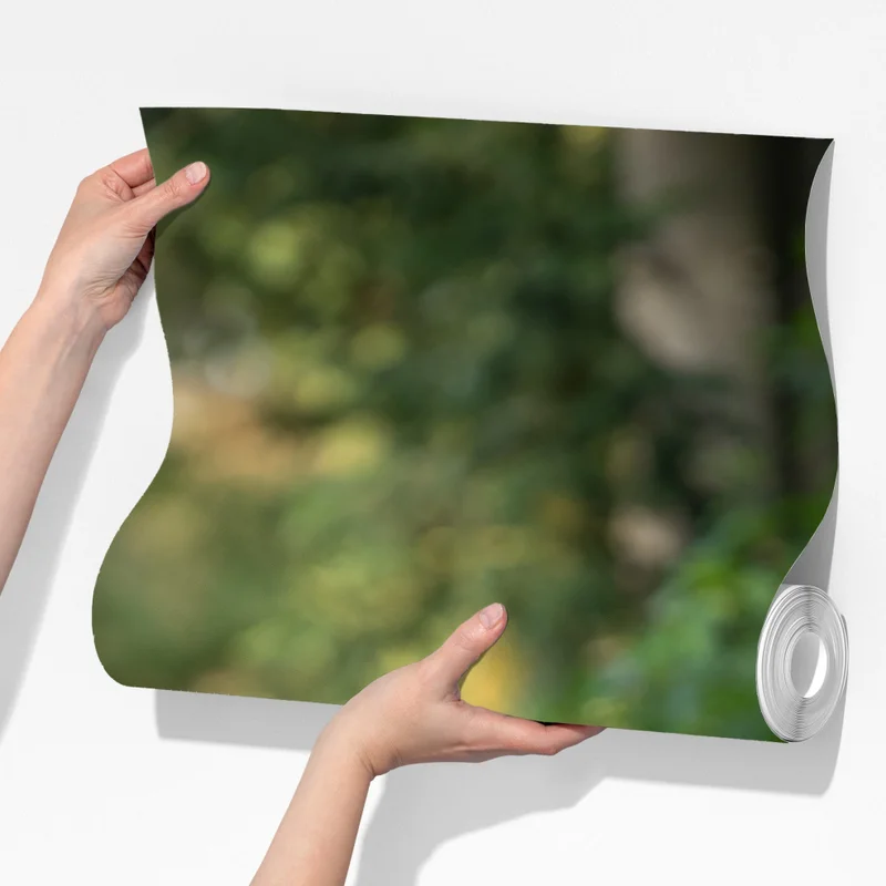 Fototapeta wilk w leśnej polanie Fototapeta wilk w leśnej polanie