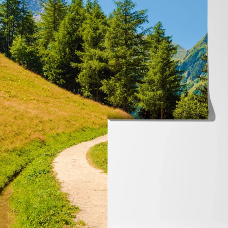 Fototapete bergweg in den Schweizer Alpen im Sommer Fototapete bergweg in den Schweizer Alpen im Sommer