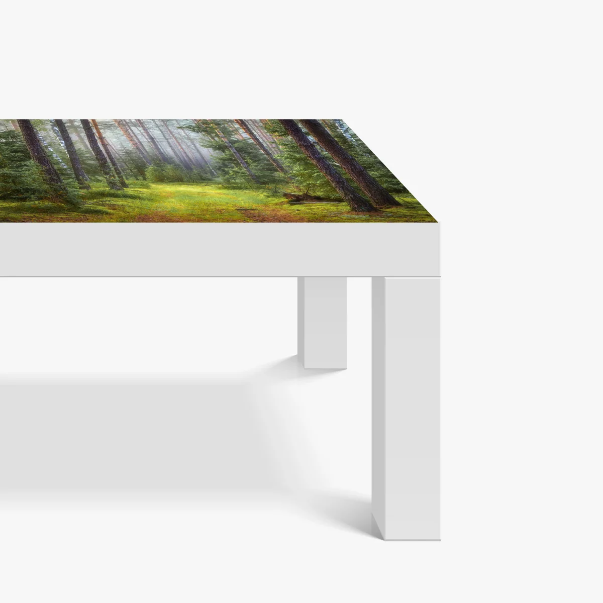 Tischaufkleber und Schreibtischaufkleber nebliger kiefernwald mit pfad Tischaufkleber und Schreibtischaufkleber nebliger kiefernwald mit pfad