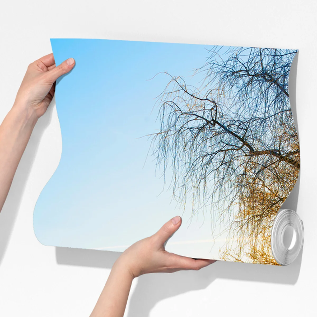 Fototapete sonnenbeschienener landweg durch herbstliche wiese Fototapete sonnenbeschienener landweg durch herbstliche wiese