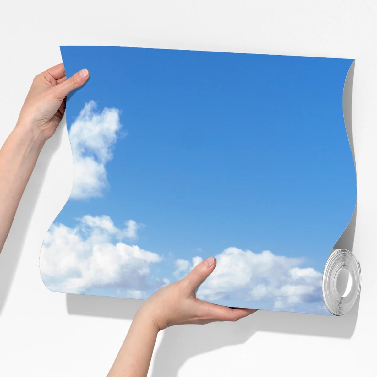 Fototapeta ścieżka nadmorska z hortensjami, São Miguel, Azory Fototapeta ścieżka nadmorska z hortensjami, São Miguel, Azory