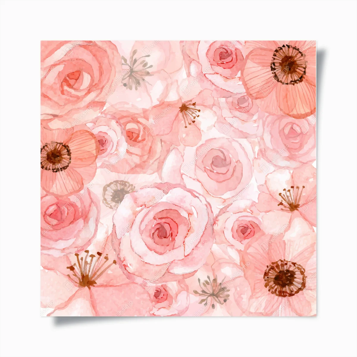 Poster zarte rosa rosen in aquarell • Poster bei Wallnifity® Poster zarte rosa rosen in aquarell • Poster bei Wallnifity®