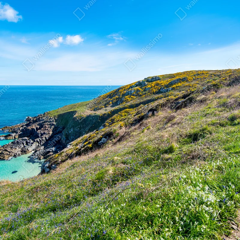 Fototapeta ścieżka wybrzeżna do Hor Point, St Ives Fototapeta ścieżka wybrzeżna do Hor Point, St Ives
