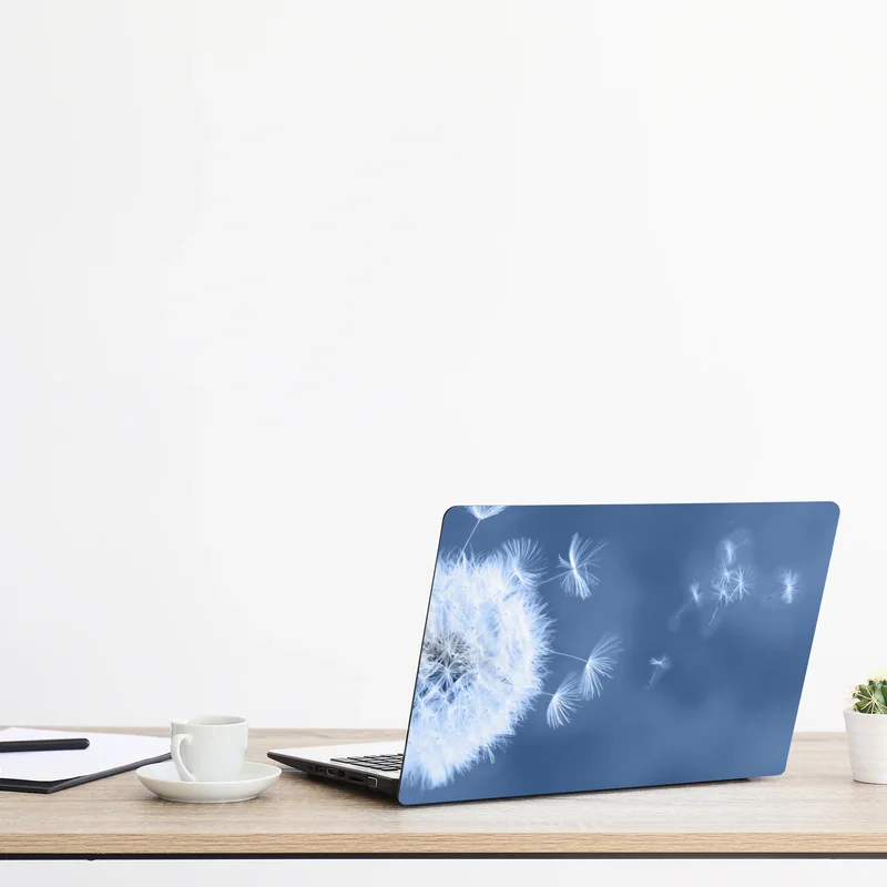 Naklejka na laptopa delikatne nasiona dmuchawca w odcieniach niebieskiego