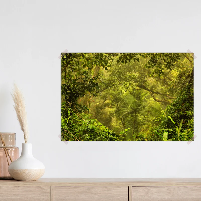 Poster üppiges regenwalddach bei Cairns • Poster bei Wallnifity® Poster üppiges regenwalddach bei Cairns • Poster bei Wallnifity®