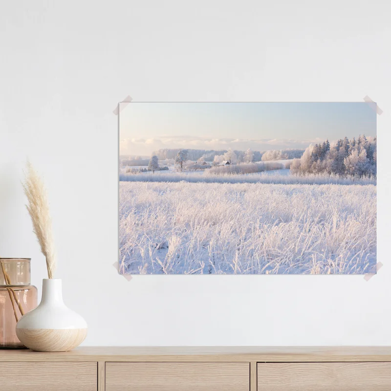 Poster wiese mit reif im morgenlicht Poster wiese mit reif im morgenlicht