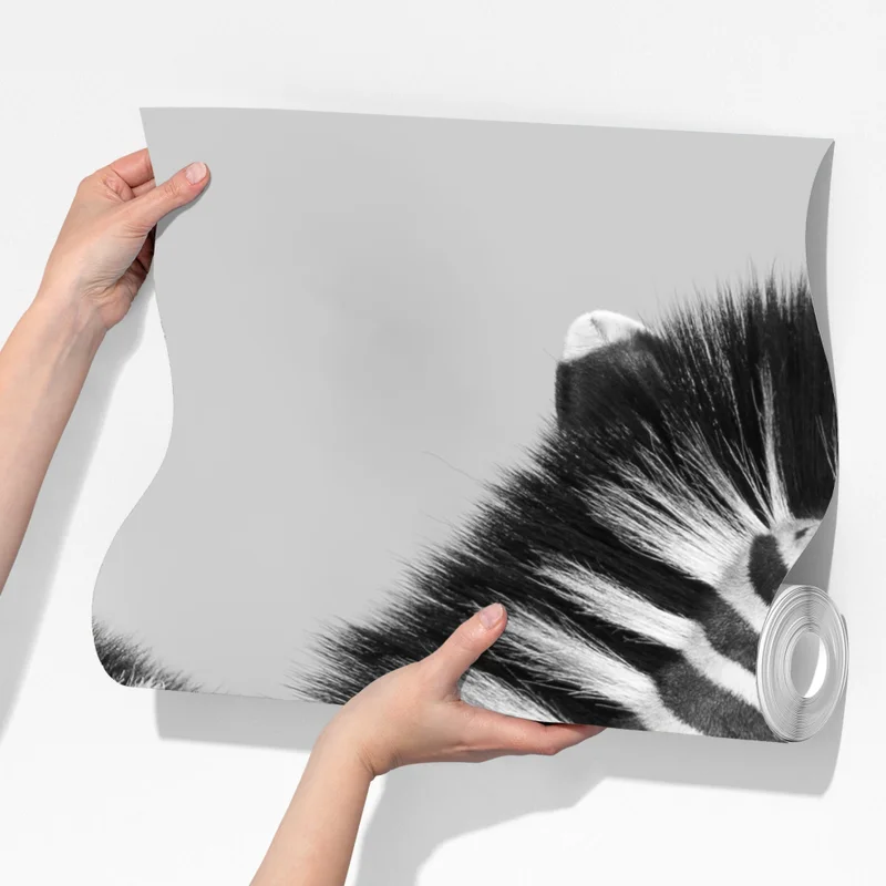 Fototapeta zebry splecione w monochromie Fototapeta zebry splecione w monochromie