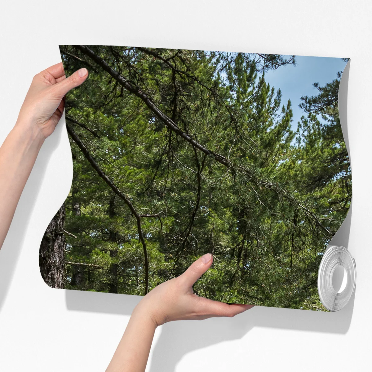 Fototapeta spokojna ścieżka leśna wśród bujnej zieleni Fototapeta spokojna ścieżka leśna wśród bujnej zieleni