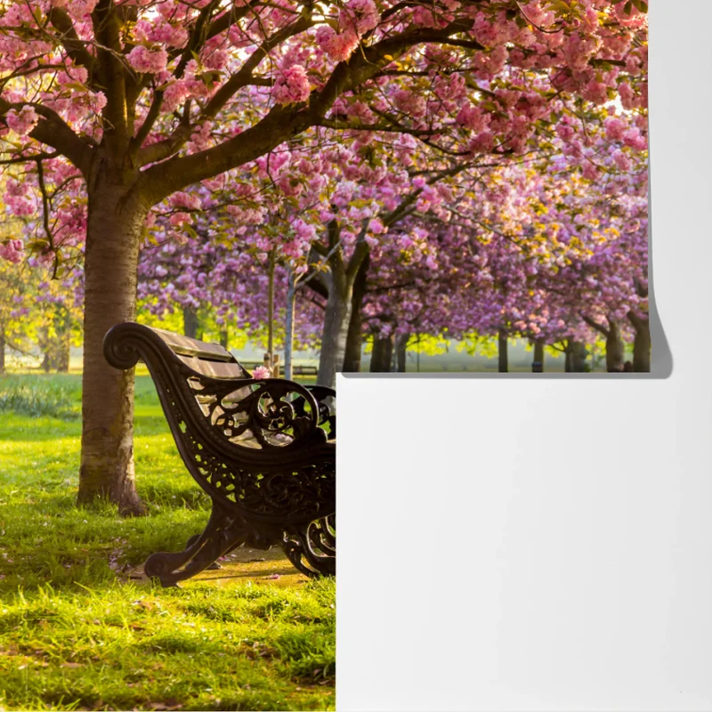 Fototapete kirschblütenallee im frühling Fototapete kirschblütenallee im frühling