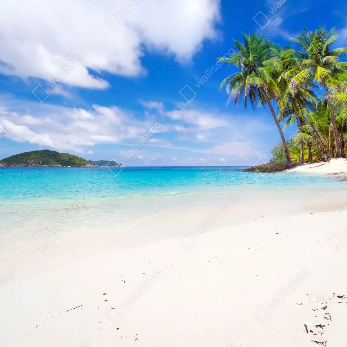 Fototapeta tropikalna turkusowa plaża Fototapeta tropikalna turkusowa plaża