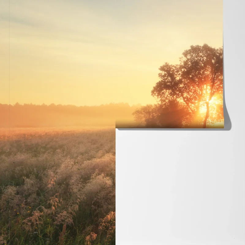 Fototapete goldener sonnenaufgang über nebliger wiese Fototapete goldener sonnenaufgang über nebliger wiese