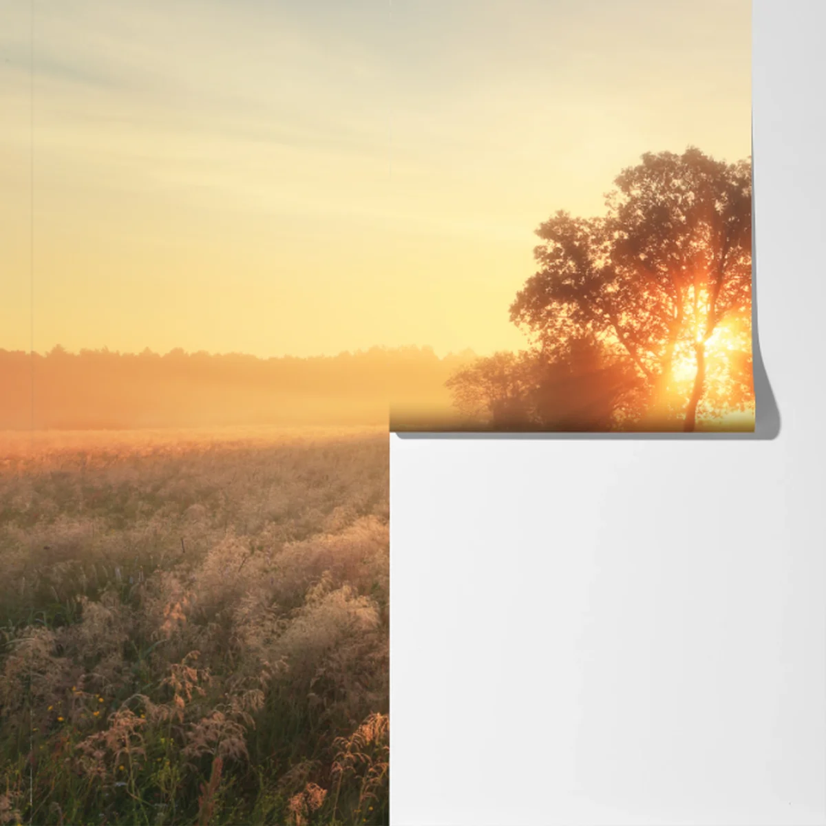 Fototapete goldener sonnenaufgang über nebliger wiese Fototapete goldener sonnenaufgang über nebliger wiese