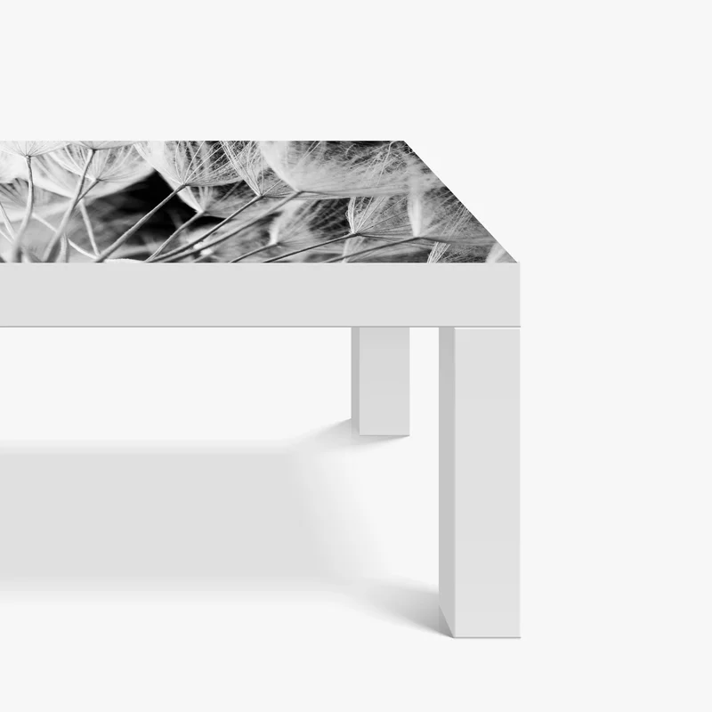 Tischaufkleber und Schreibtischaufkleber zarte nahaufnahme von löwenzahnsamen in monochrom