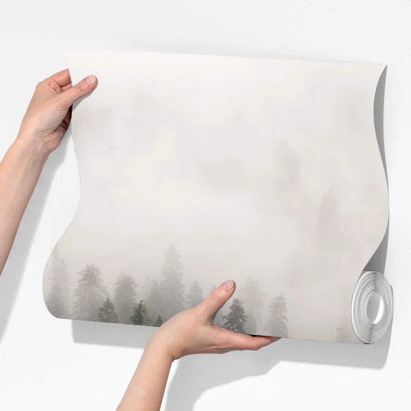 Fototapeta mglisty las nad wybrzeżem, Kolumbia Brytyjska Fototapeta mglisty las nad wybrzeżem, Kolumbia Brytyjska